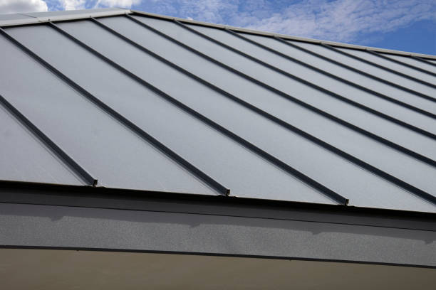 Best Roof Moss and Algae Removal  in White Settlement, TX